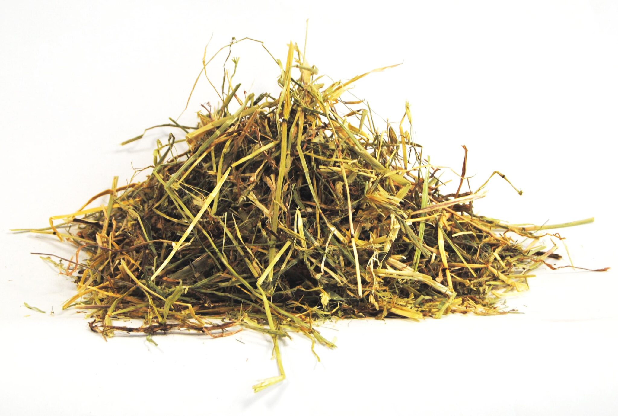 SELECT HAY ENGLISH RYEGRASS Caleya
